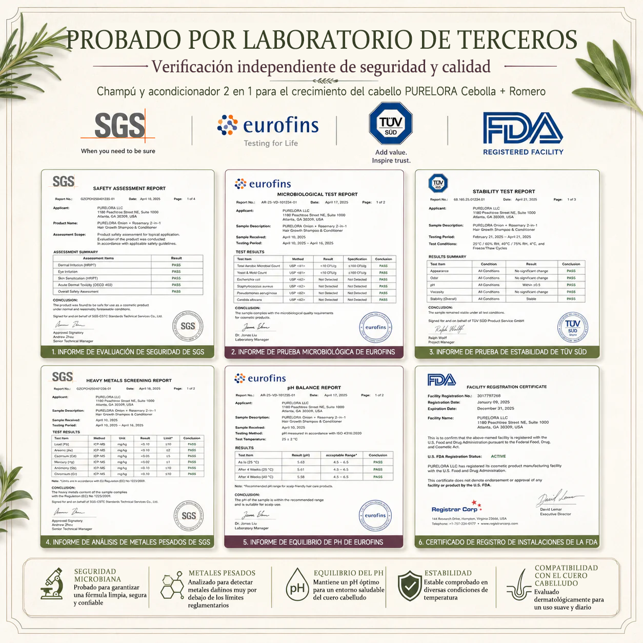 🌿👨‍⚕️ Tienda oficial en EE. UU. 🇺🇸 | 🔥 Champú y acondicionador 2 en 1 PURELORA® de cebolla y romero con complejo activo 15X para el crecimiento capilar: para un cabello con apariencia más gruesa, abundante y fuerte.